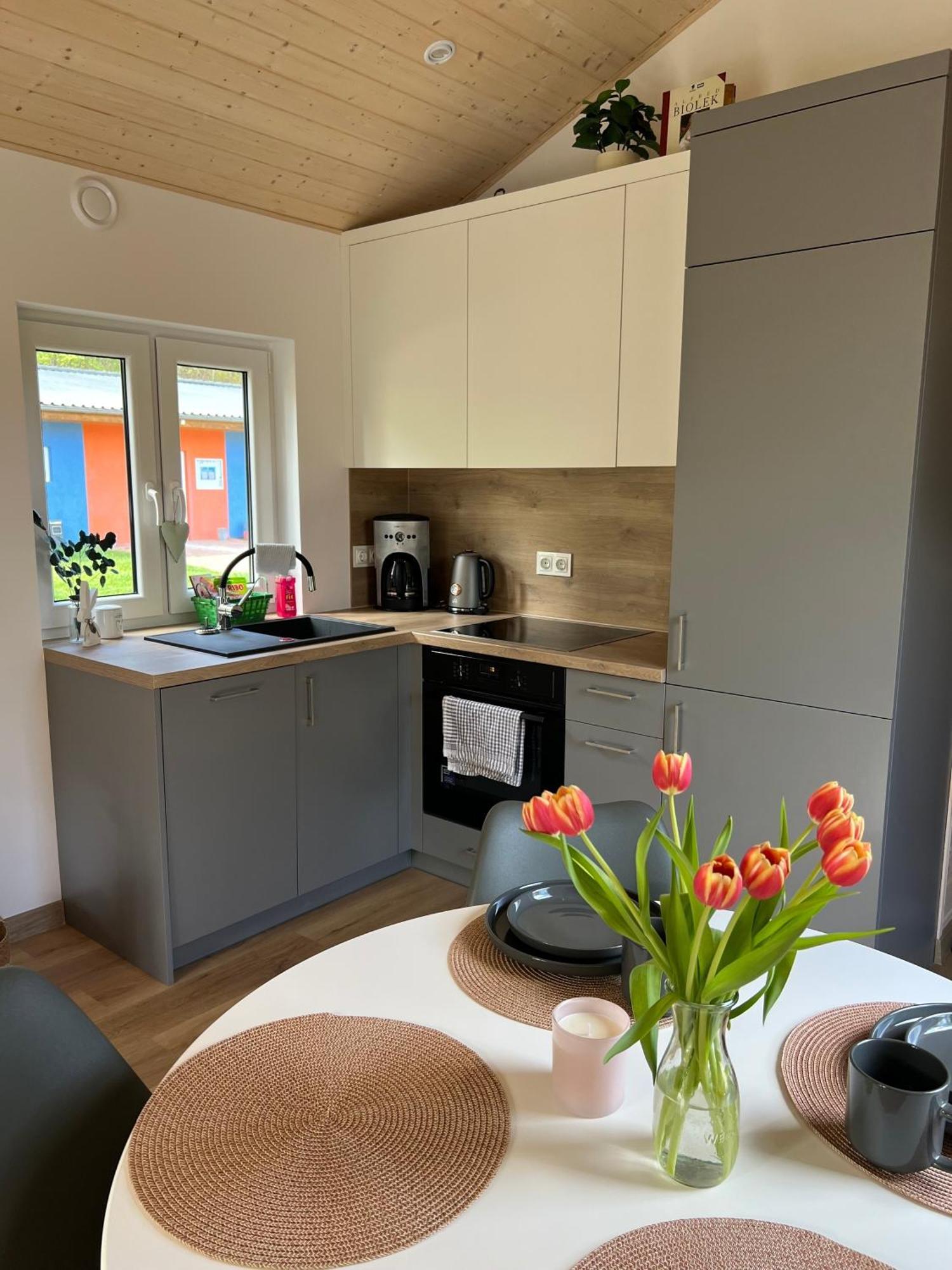 Tinyhouse Frida Βίλα Stuer Εξωτερικό φωτογραφία